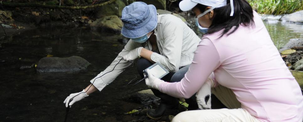 Biólogas en la UNED intentan diagnosticar el estado del río Torres., Biólogas en la UNED intentan diagnosticar el estado del río Torres., Biólogas en la UNED intentan diagnosticar el estado del río Torres., Biólogas en la UNED intentan diagnosticar el estado del río Torres., Biólogas en la UNED intentan diagnosticar el estado del río Torres.