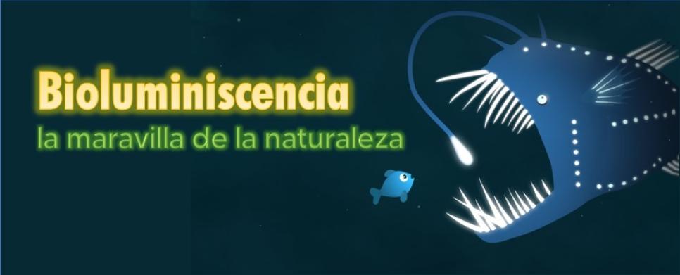 Bioluminiscencia: la maravilla de la naturaleza 